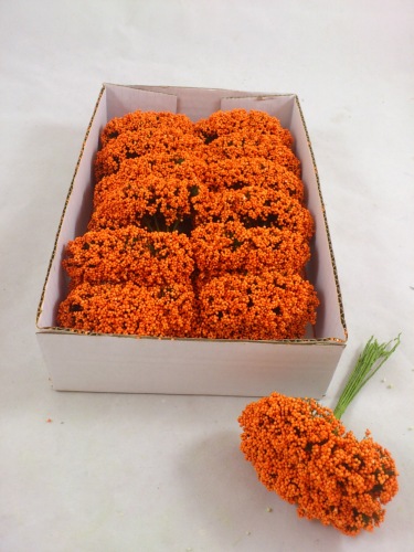 Schaum wilde Blume Orange (12 st.)